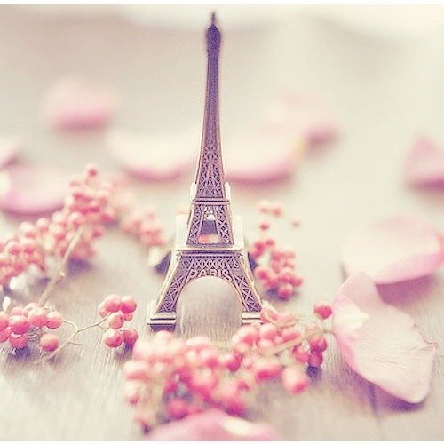 Beautiful Cute Eiffel Tower Fashion Flowers France Girl