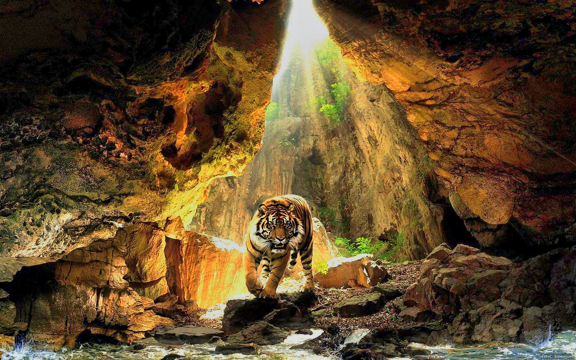 Bengal Tiger 3d Wallpaper