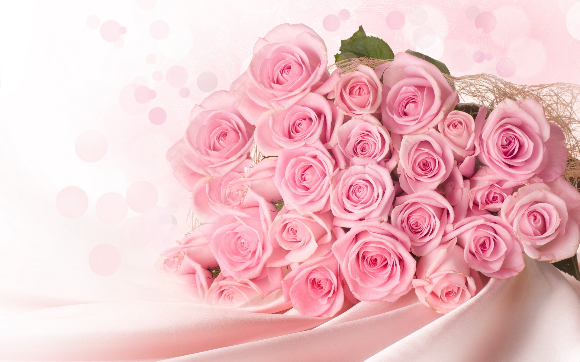 Wallpaper Pink Roses Background