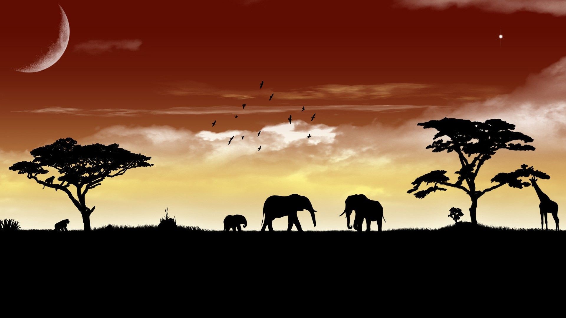 African Animals Wallpaper