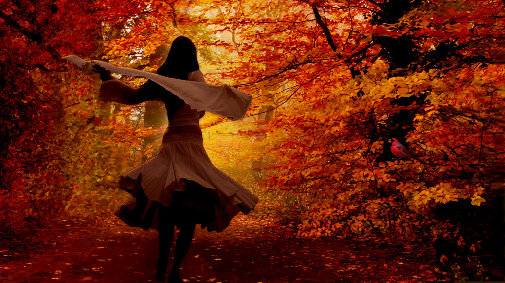 Autumn Background Wallpaper S Pictures In High