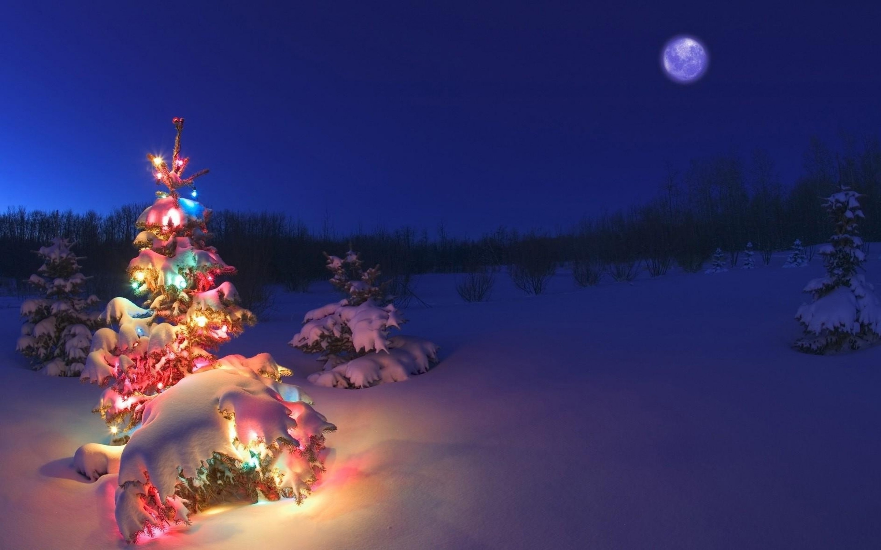 A snow-covered Christmas tree adorned with colorful lights glows under a full moon in a wintry landscape