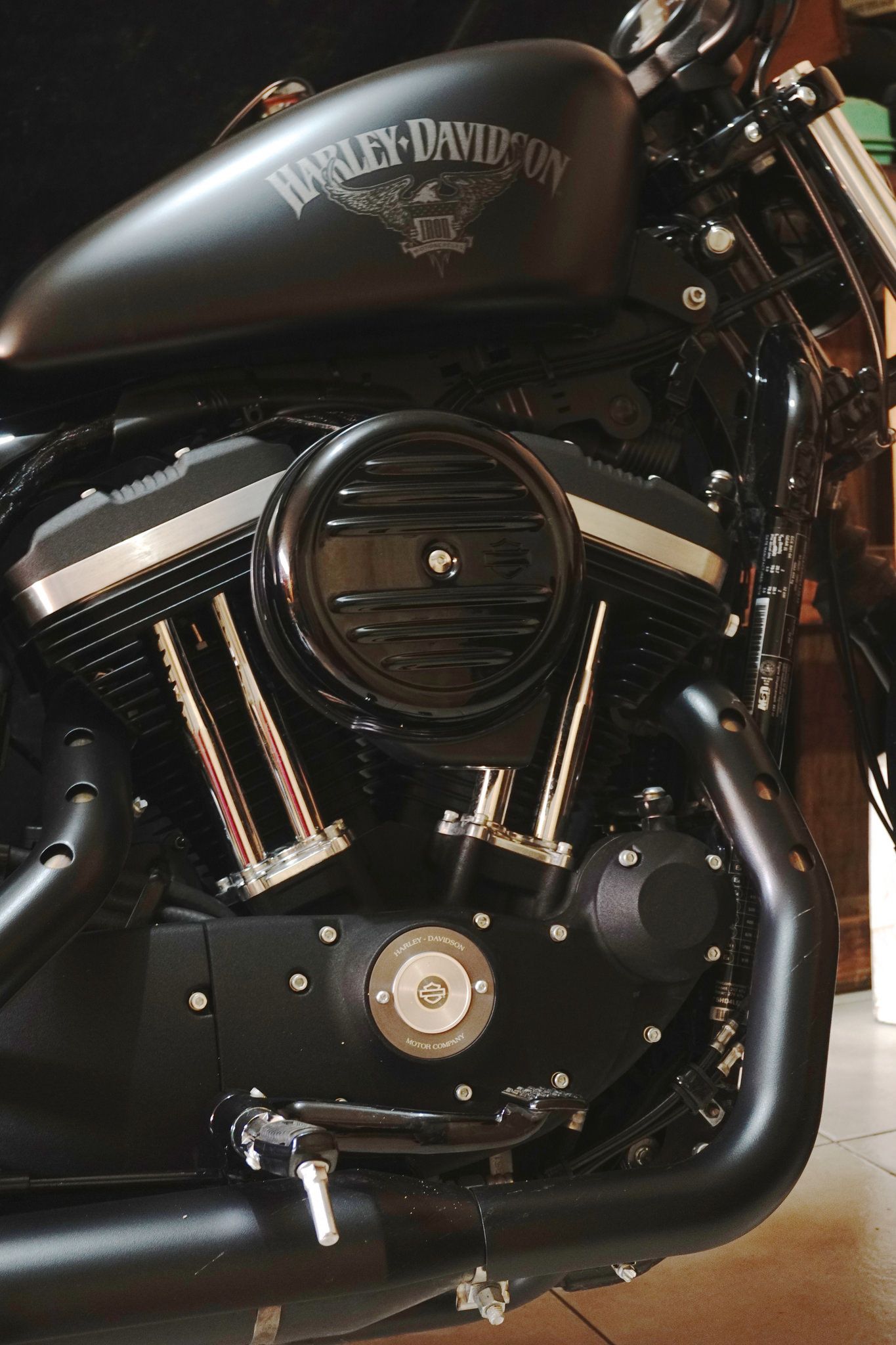 miranda HD sportster iron Harley bikes Harley davidson