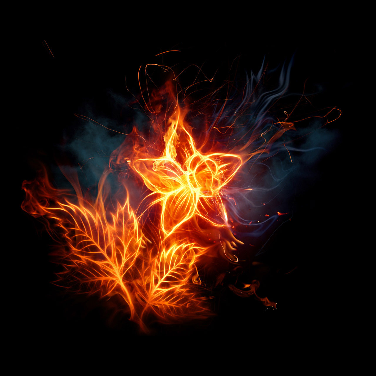 Fiery Flowers Wallpaper Sony Tablet S Background