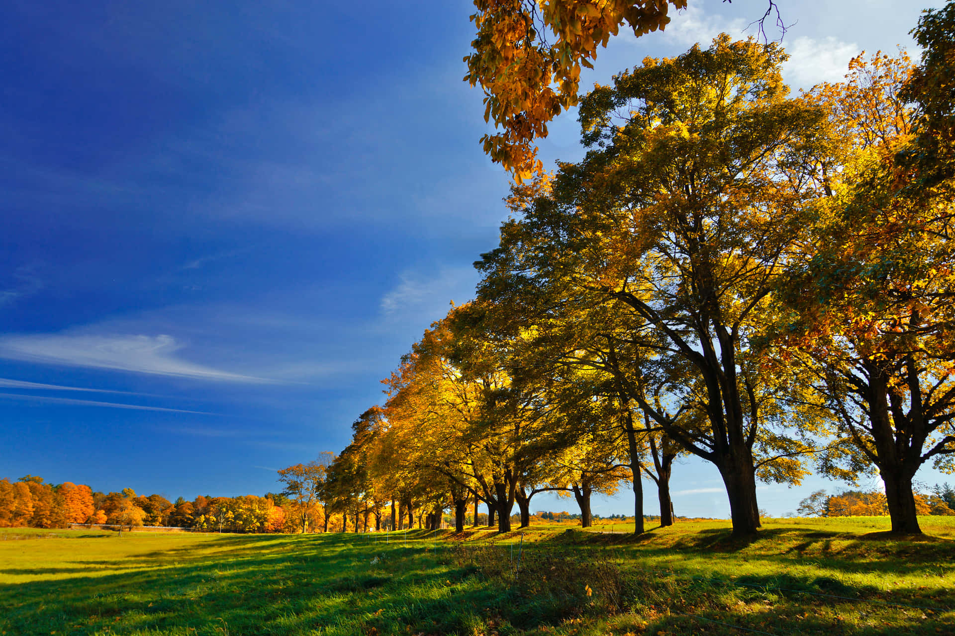Early Fall Wallpaper