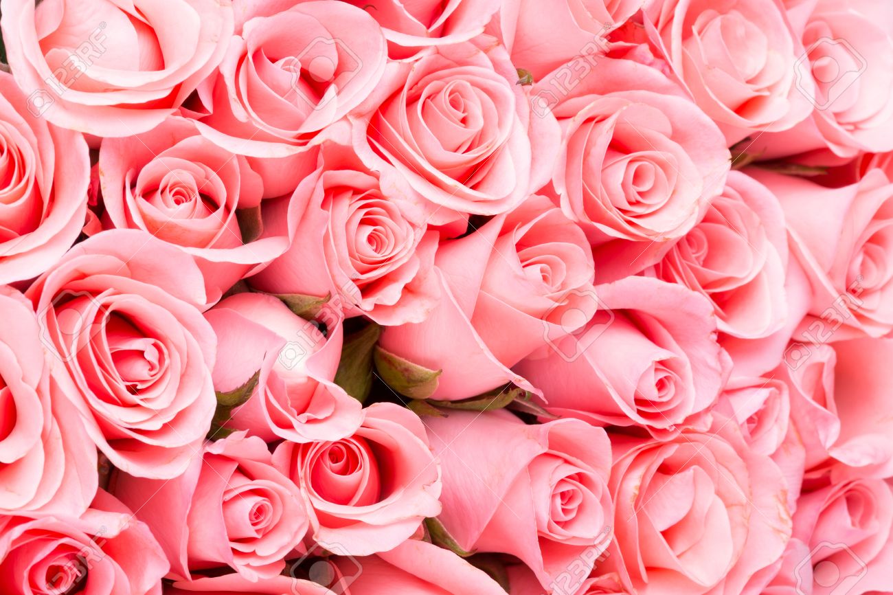 Pink Rose Flower Bouquet Background Stock Photo Picture And