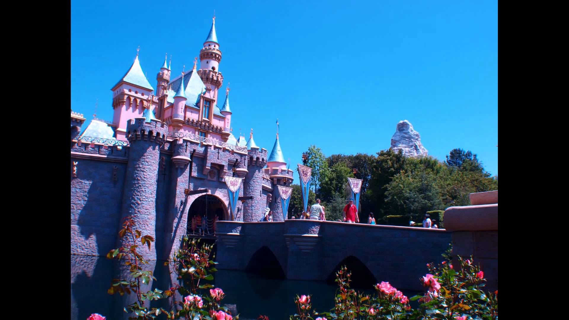 For Disneyland Castle id 127656