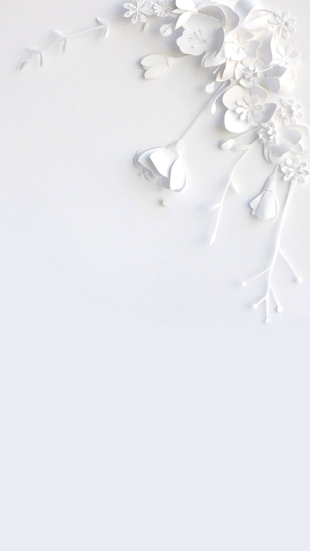 White Flower iPhone Wallpaper