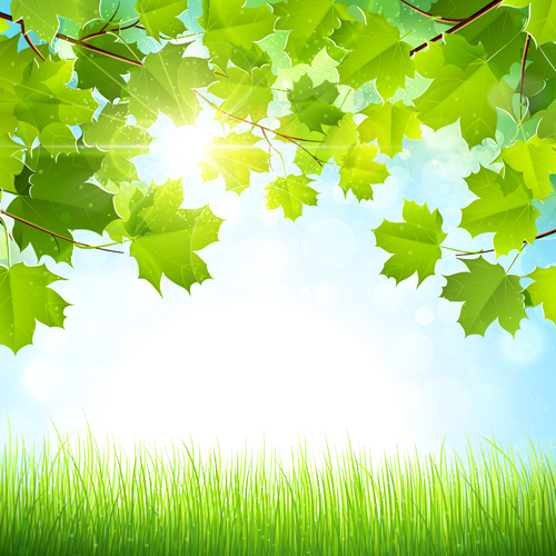 Sunlight With Nature Background Art Vector Over Millions Vectors