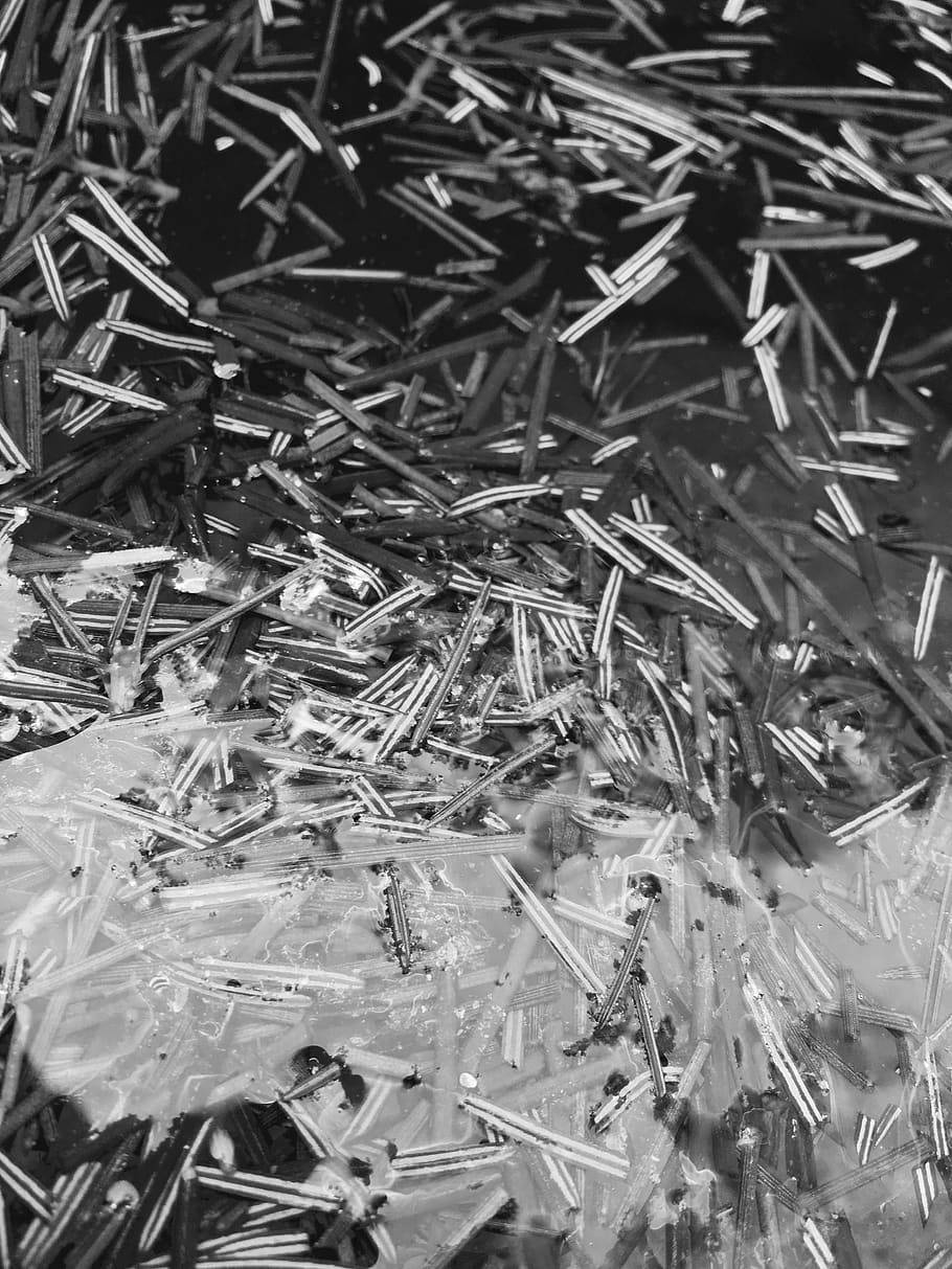 Tonal Contrast Floating Sticks Fmkkyntegn9mlbw9 Wallpaper