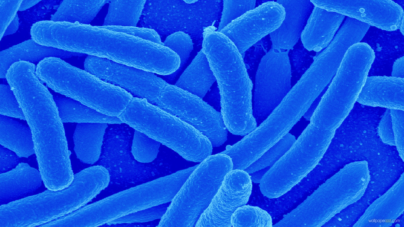 Blue Bacteria HD Wallpaper
