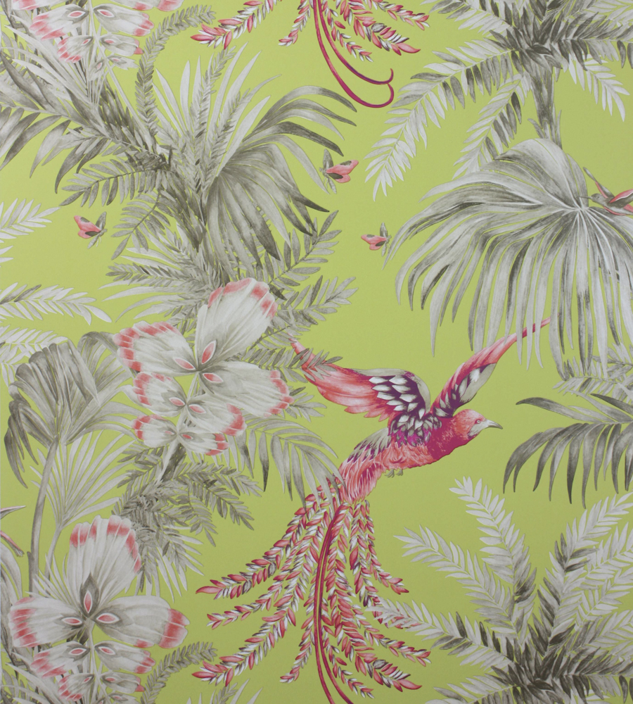 Bird Of Paradise Wallpaper by Matthew Williamson Jane Clayton