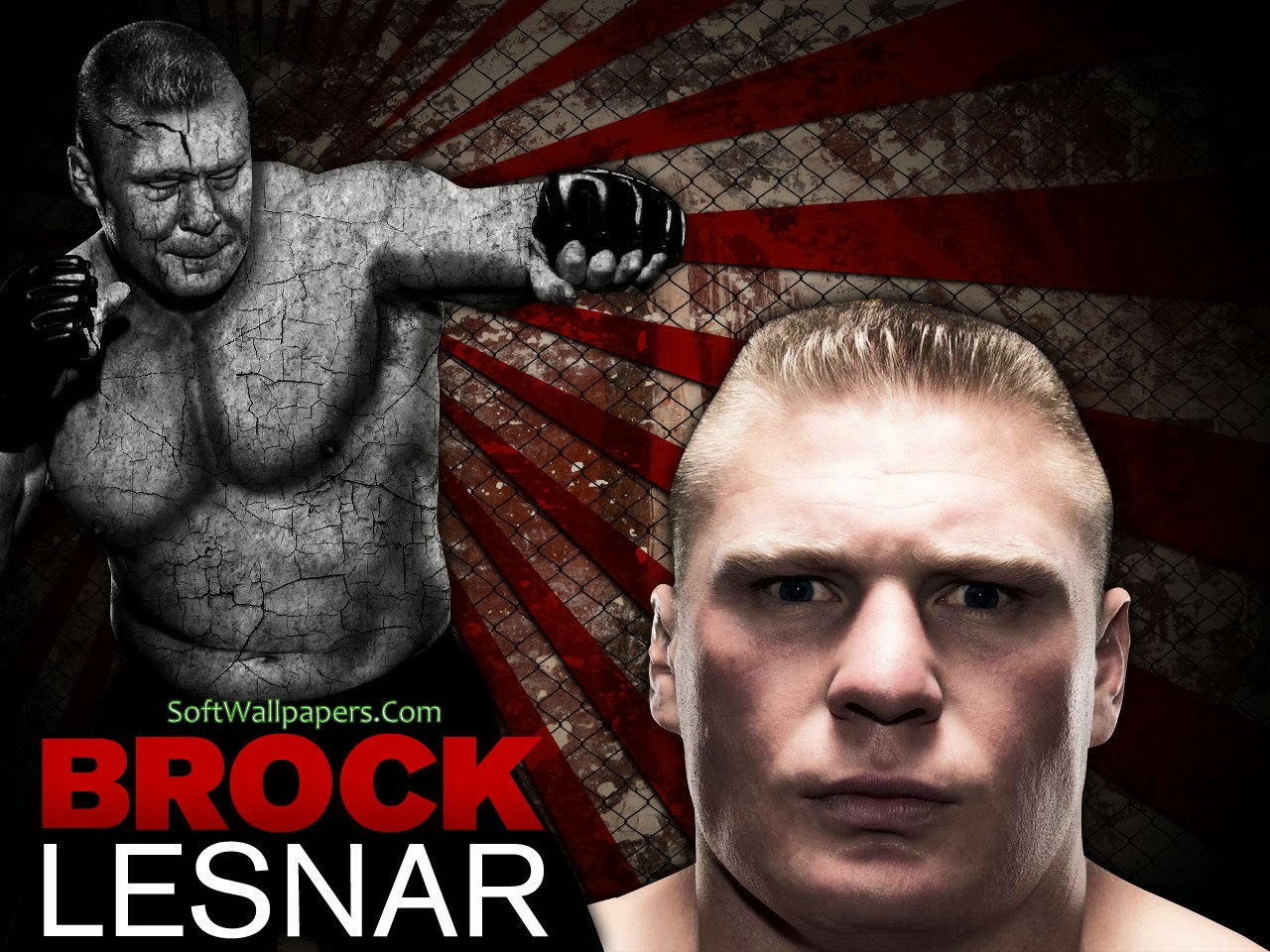 Free download Brock Lesnar WWE HD Wallpapers Soft Wallpapers [1280x960