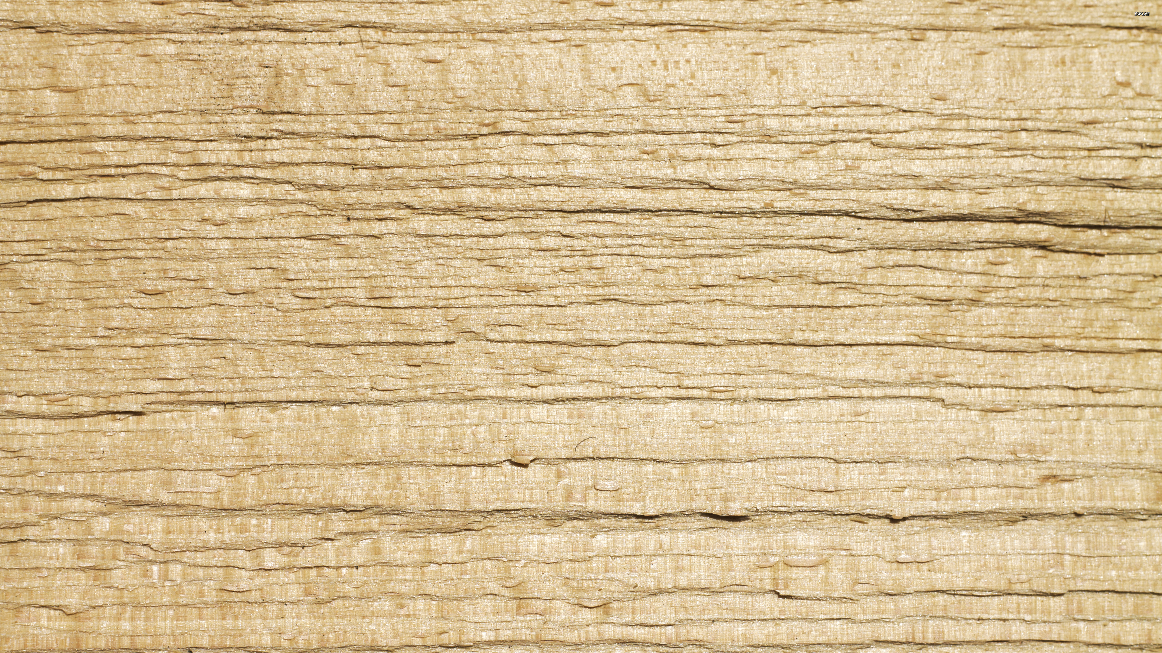 Wood Fibers Wallpaper