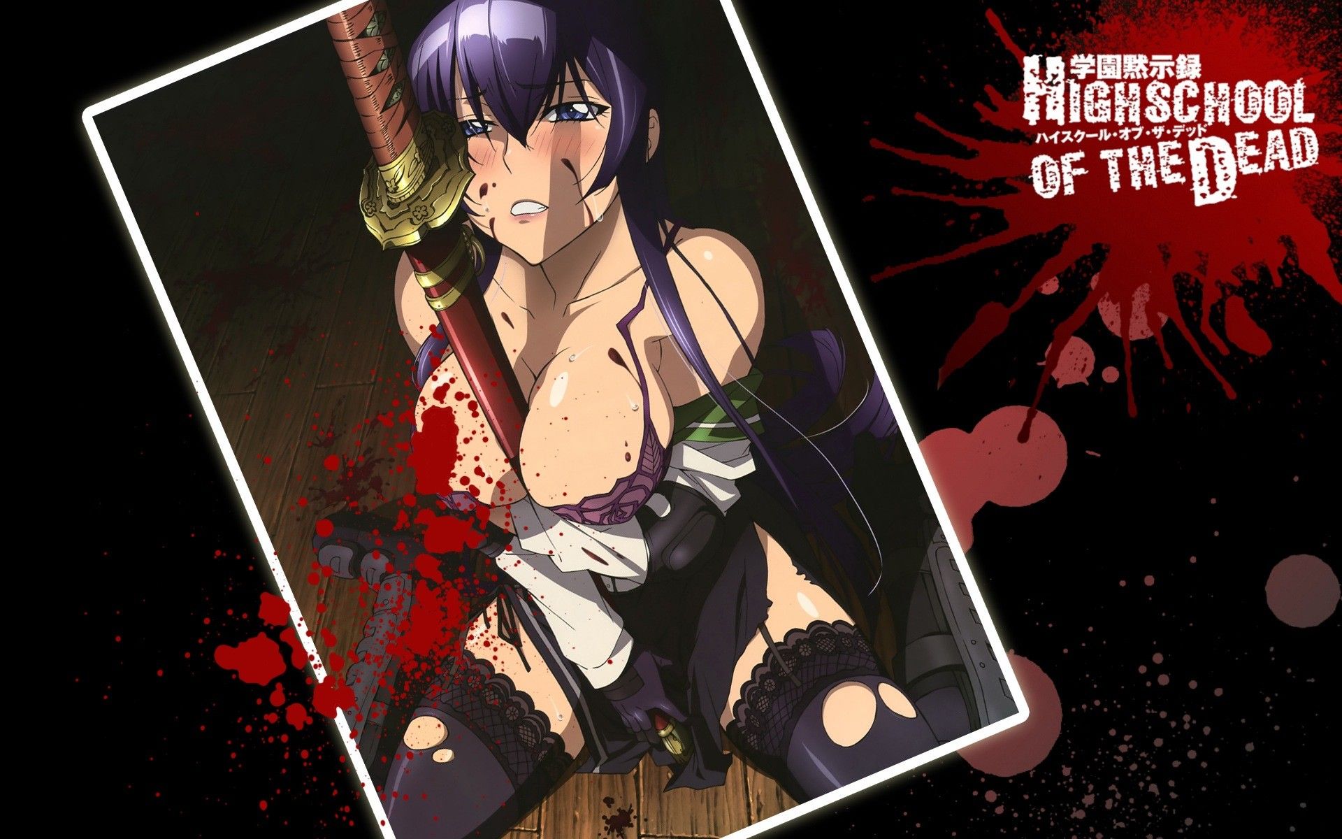 Free Download Highschool Of The Dead Wallpaper Pesquisa Google Free Download Highschool Of The Dead Wallpaper Pesquisa Google