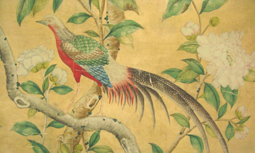 Gracie wallpaper knock off Beautiful birds and blooms on a budget