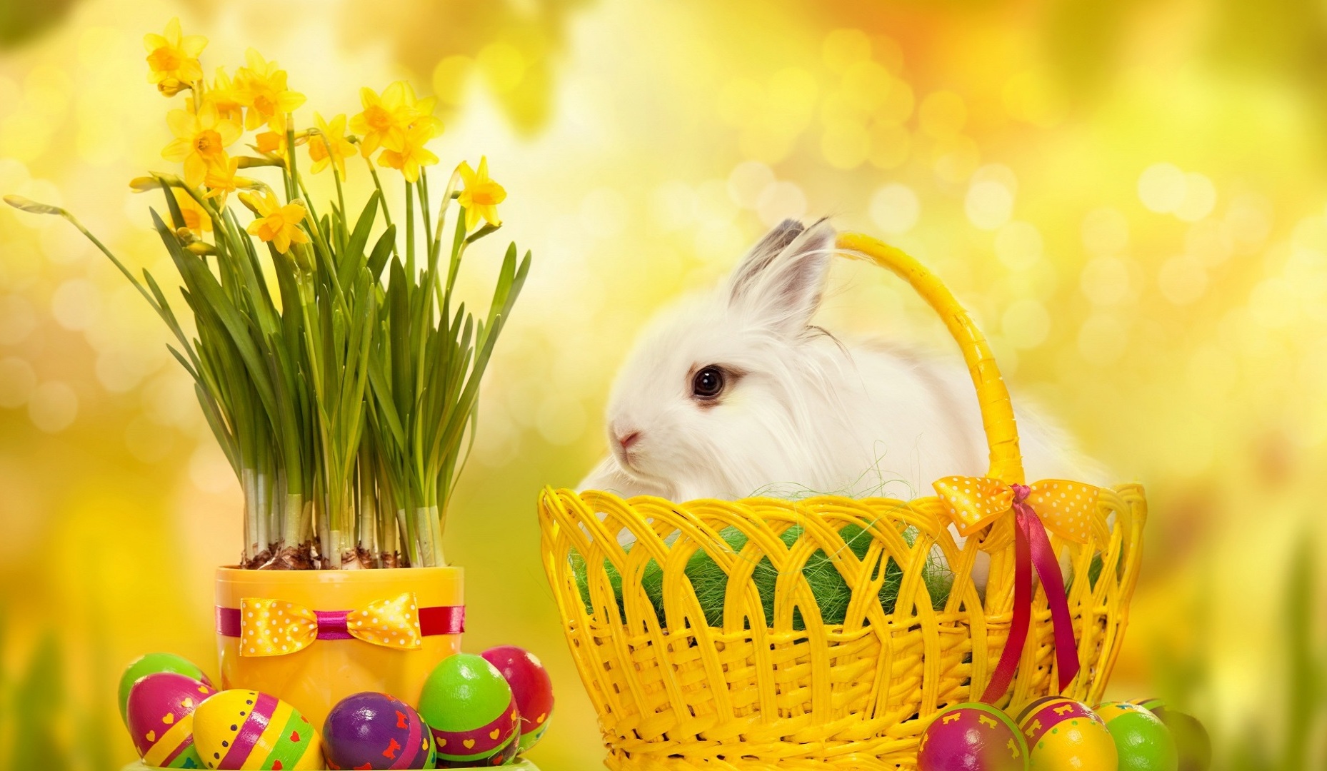 Desktop Easter Wallpaper Happy Bunny
