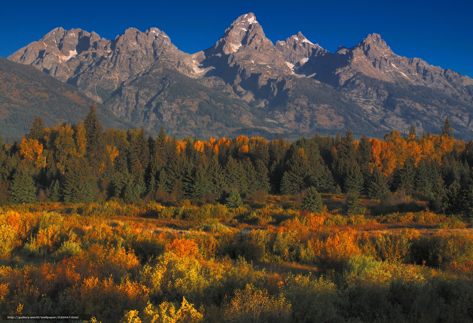 Download wallpaper Grand Teton Wyoming USA free desktop wallpaper in