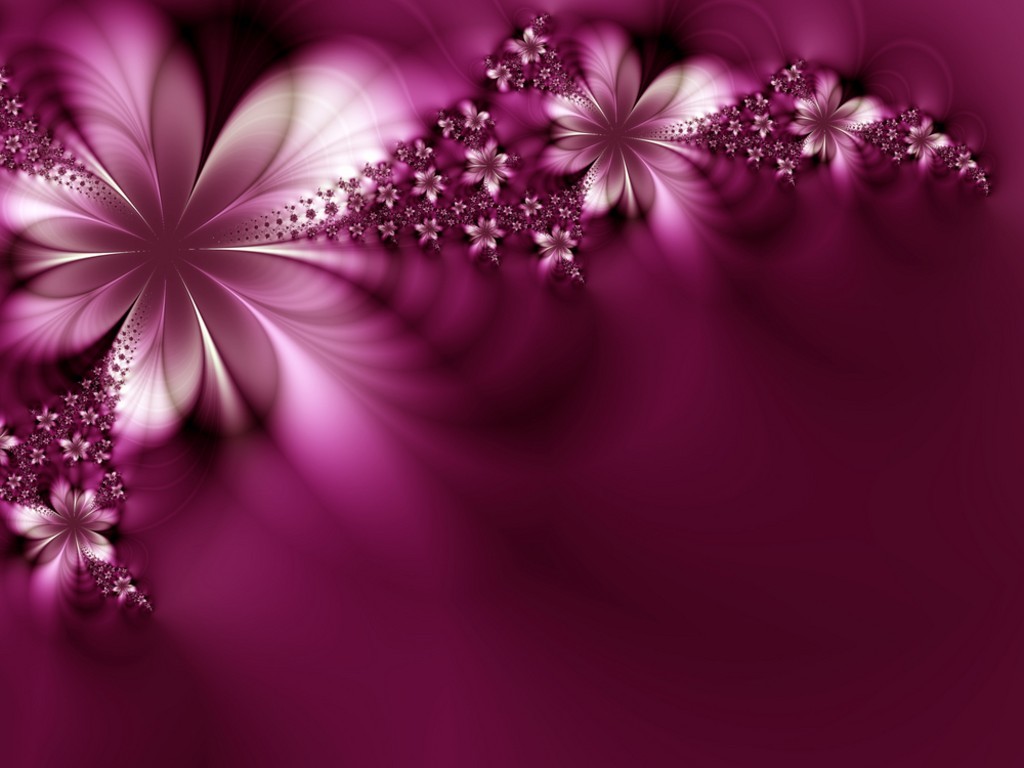 flowers wallpapers free download