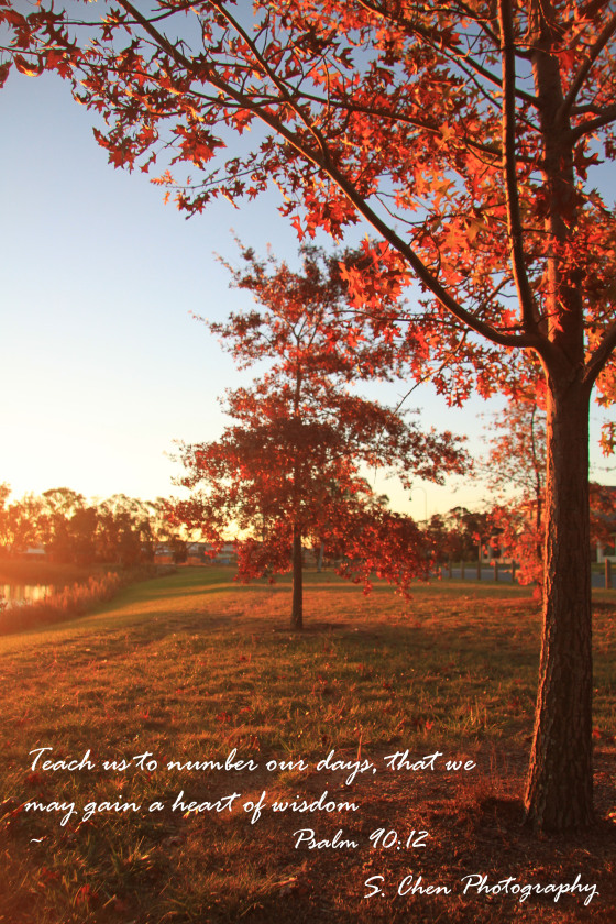 Fall Pictures With Scripture Schenphoto Wordpress
