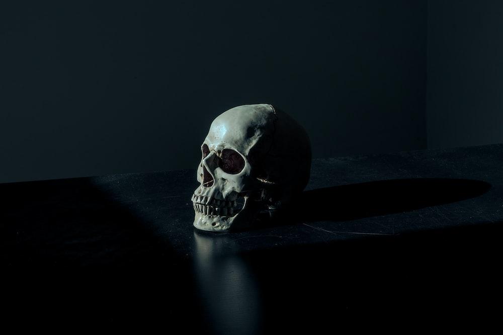 white and black skull figurine on black surface photo Free Skull