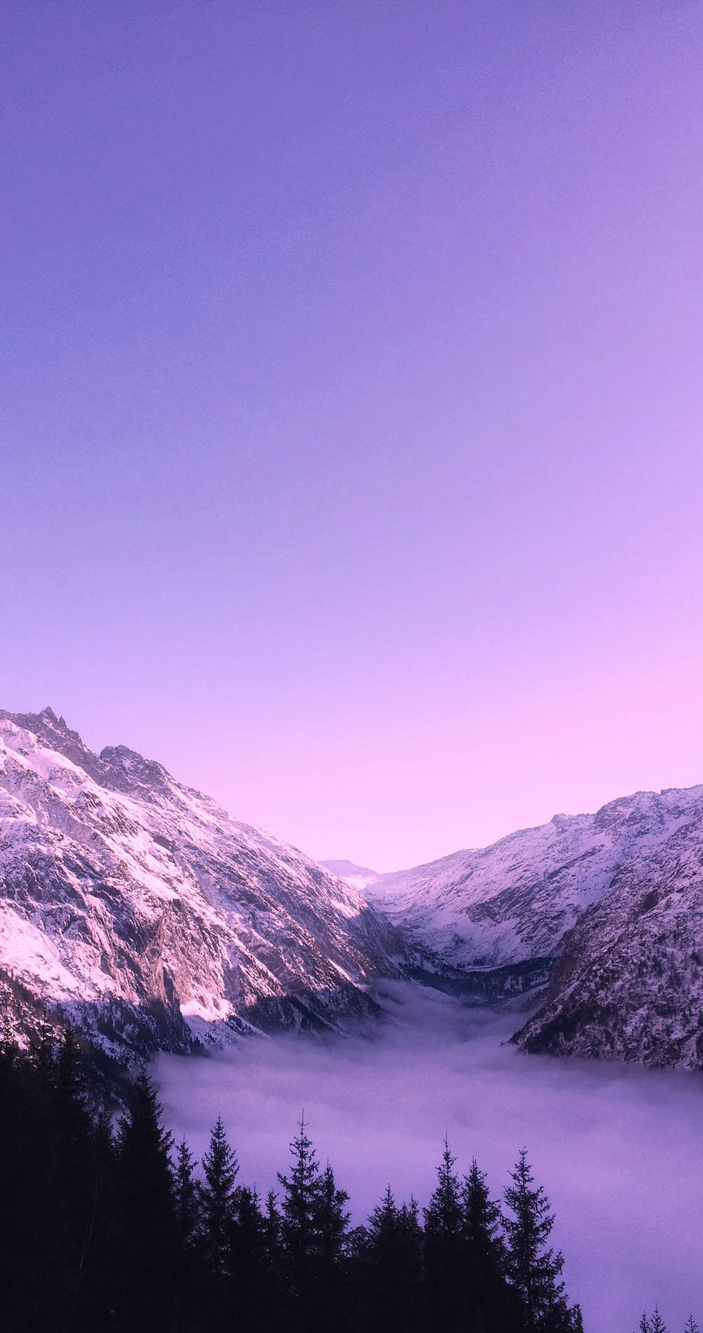 Light Purple Aesthetic Wallpaper