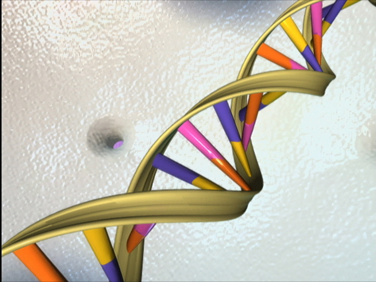 Dna Helix Wallpaper File Double By