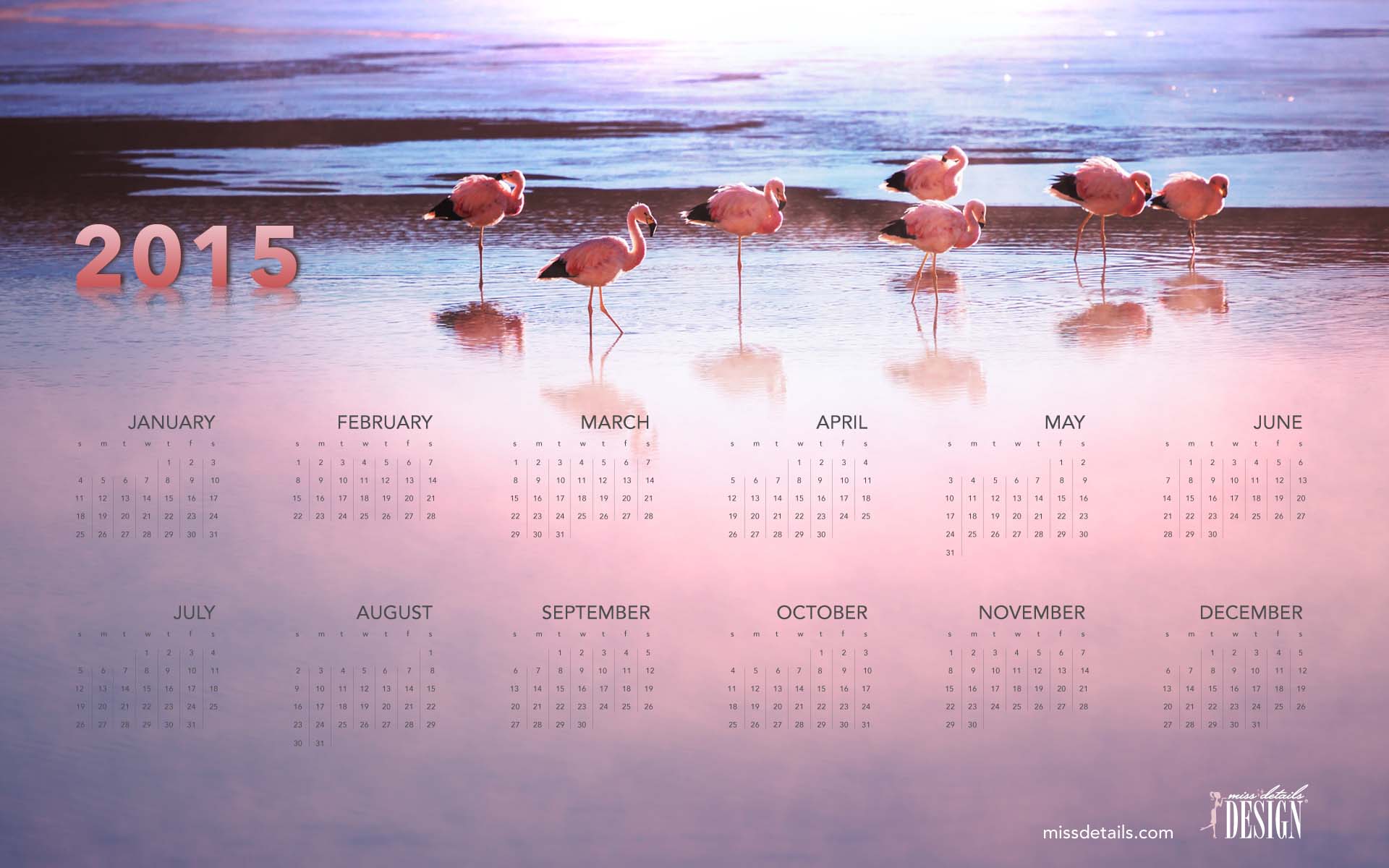 Free inspiring 2015 desktop calendar from missdetailscom   Flamingos
