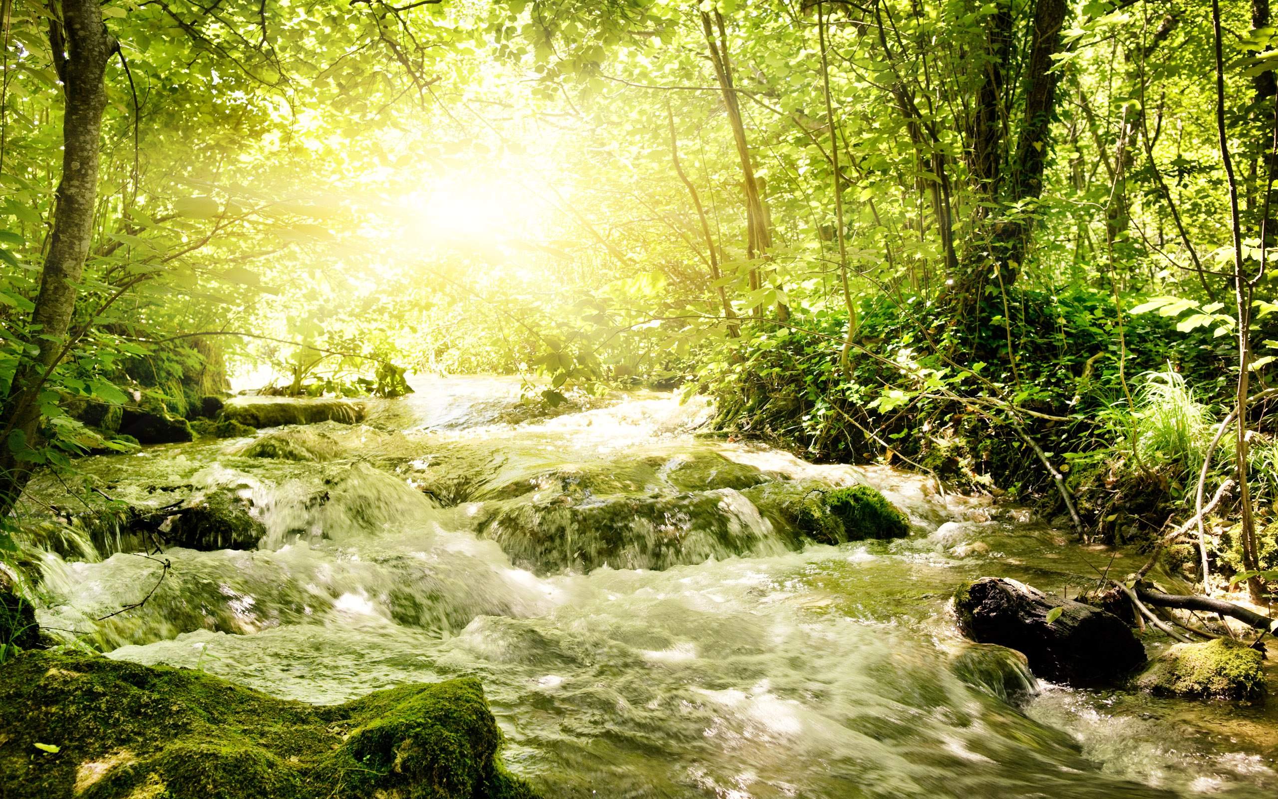 Beautiful Refreshing Spring Wallpaper