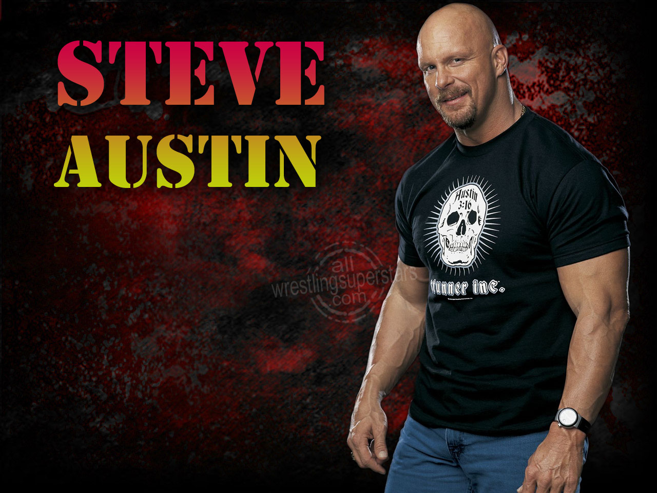 WWE WALLPAPERS Stone cold Stone cold wallpaper stone 1280x960
