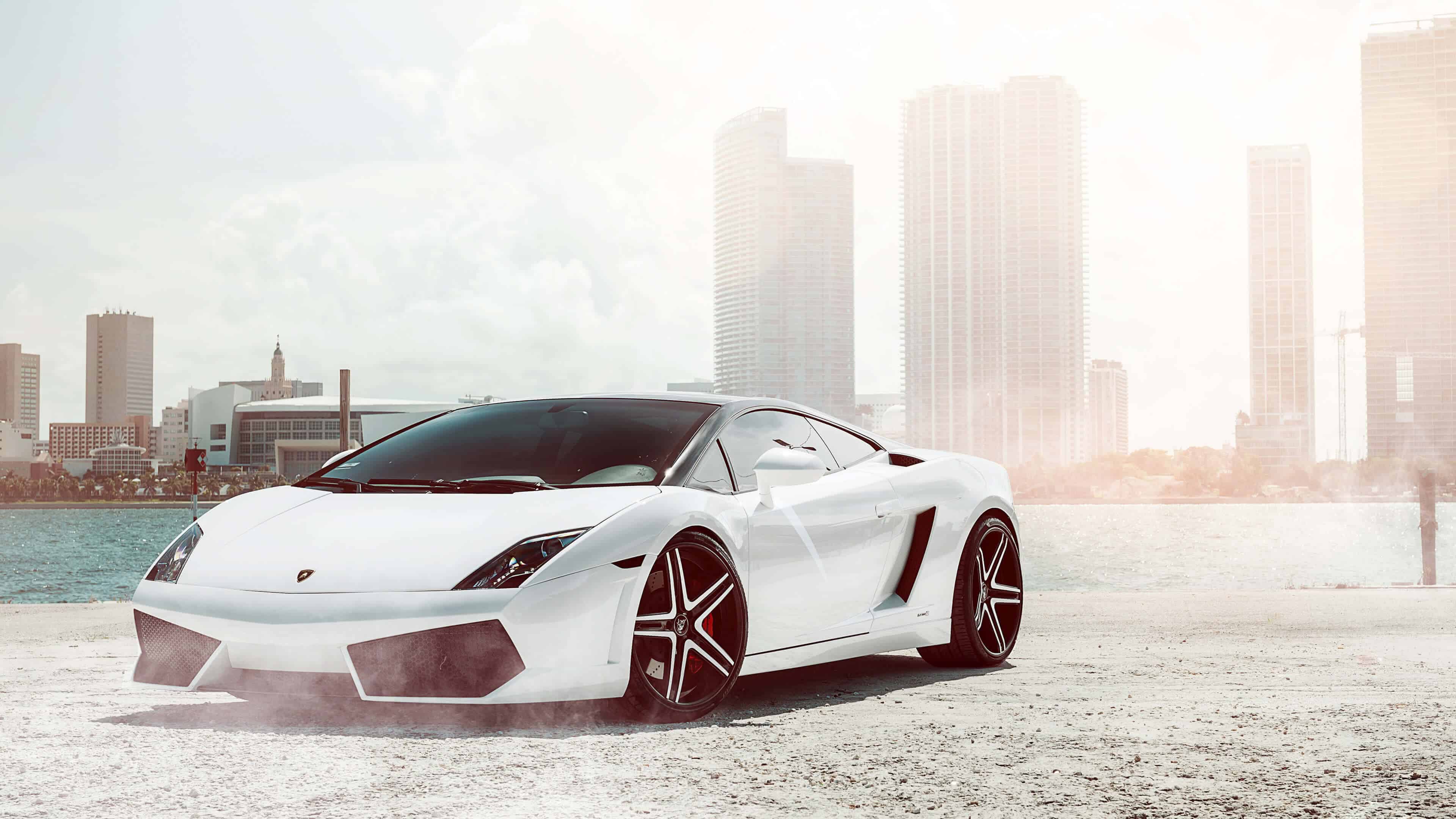 White Lamborghini Gallardo parked by the waterfront with a cityscape in the background