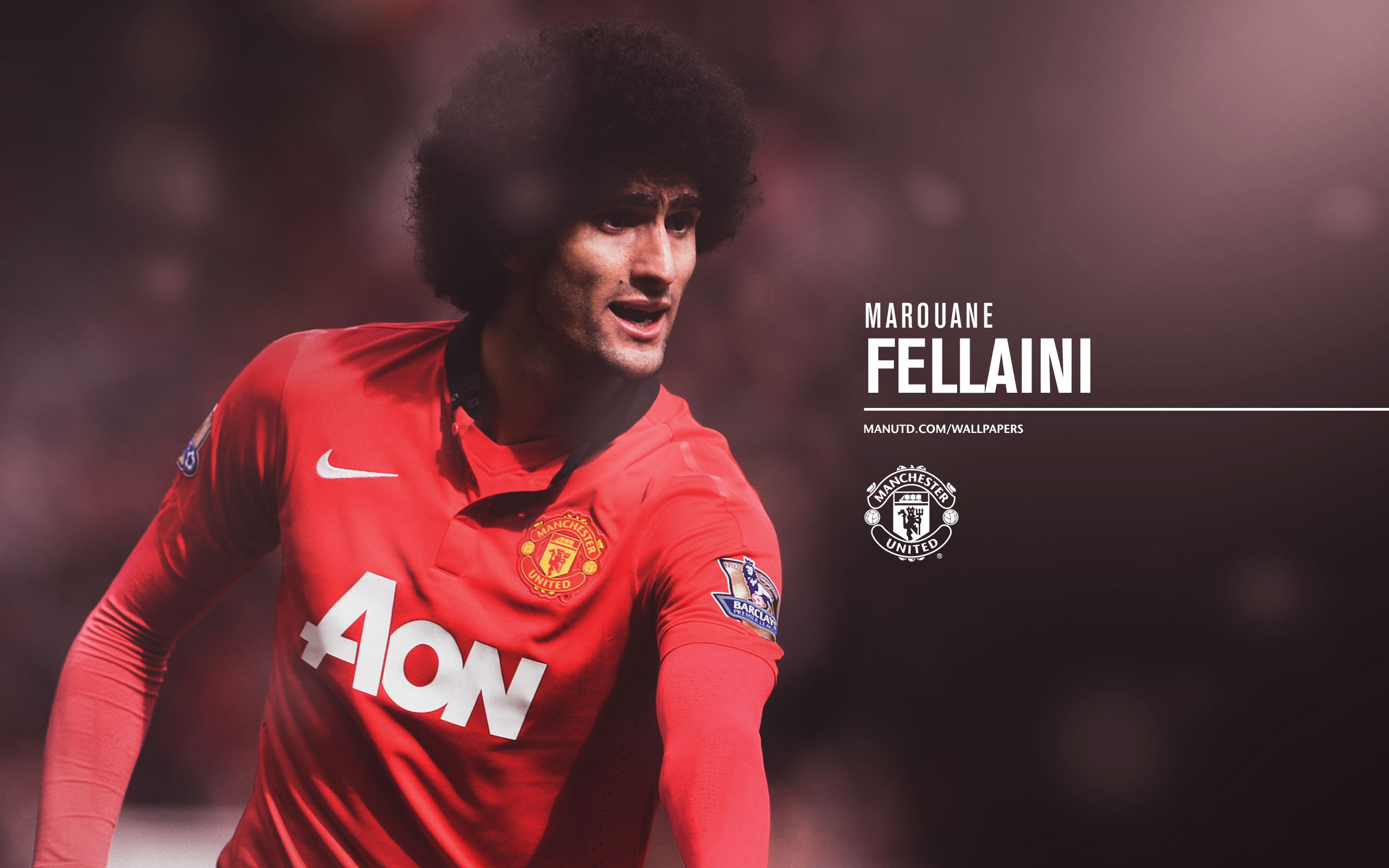 Marouane Fellaini Manchester United Player Wallpaper Ongur