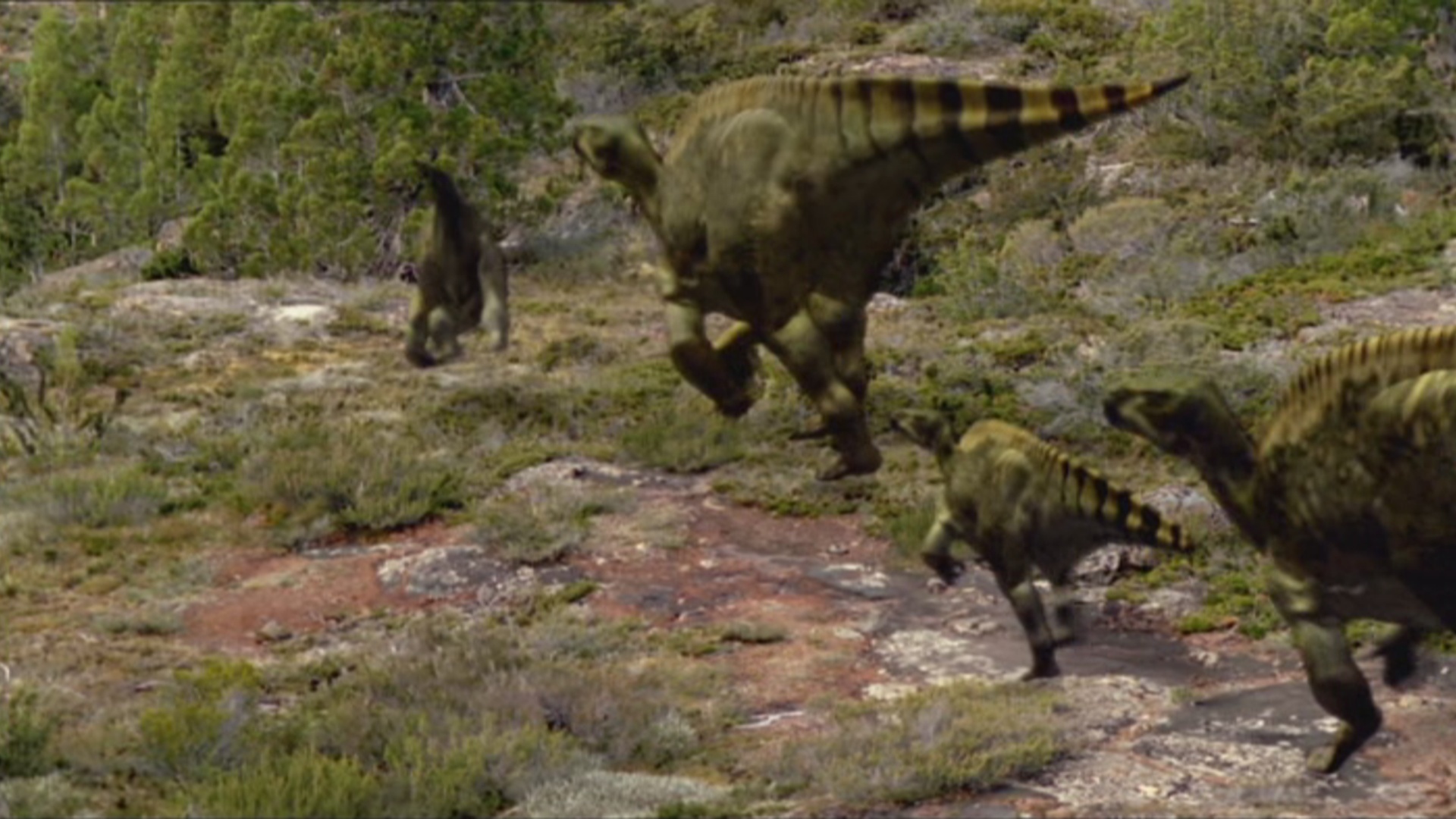 Iguanodon Bernissartensis Vs Tyrannosaurus Rex Small Adult The