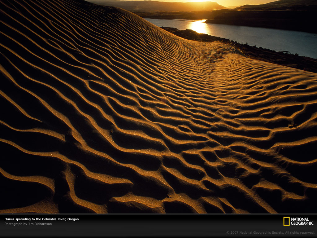 Sand Dunes Oregon Lw
