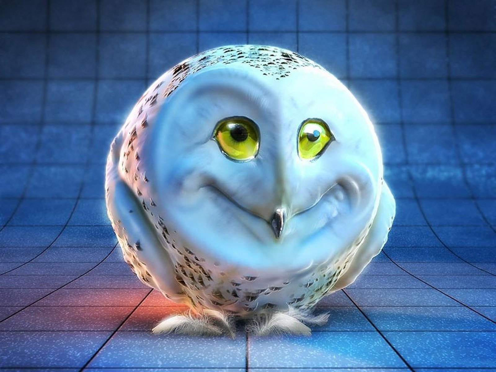 Free Weird Owl Face computer desktop wallpapers pictures images