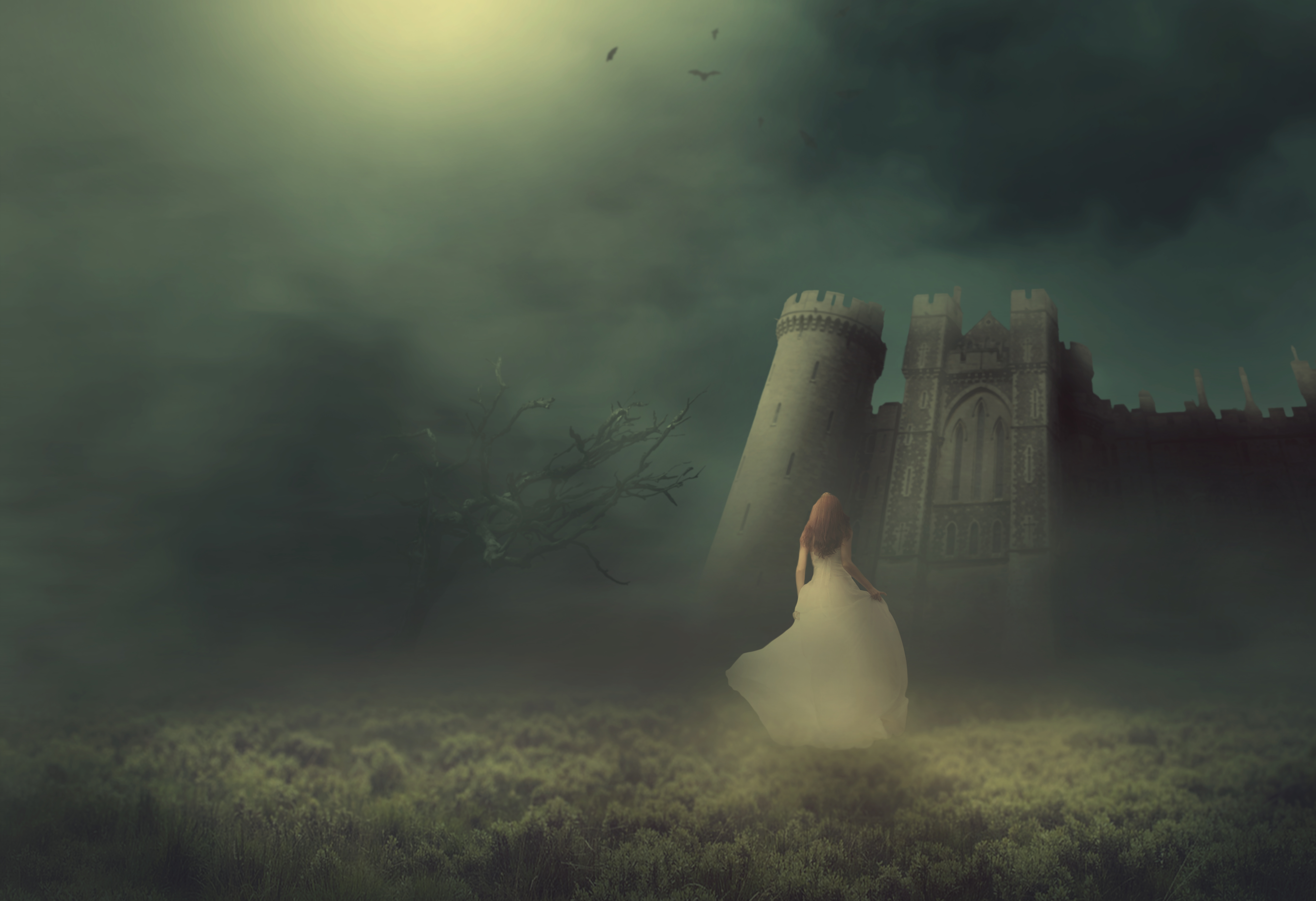Image Fantasy Fog Princess Meadow Bride Tree Bats