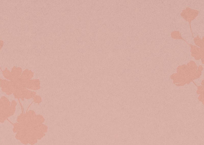 Aesthetic Minimalist Flower Background Image Wallpaper