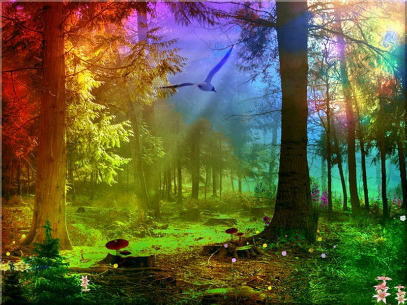 3d Abstract Rainbow Forest Fantasy HD Desktop Wallpaper