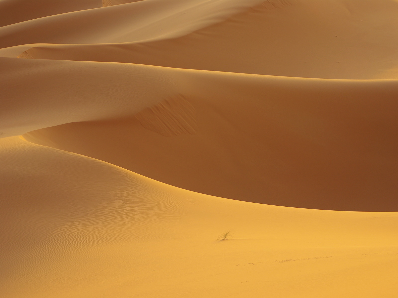 Duopolies And Post Hoc Evidence Smooth Desert Wallpaper Inkbluesky