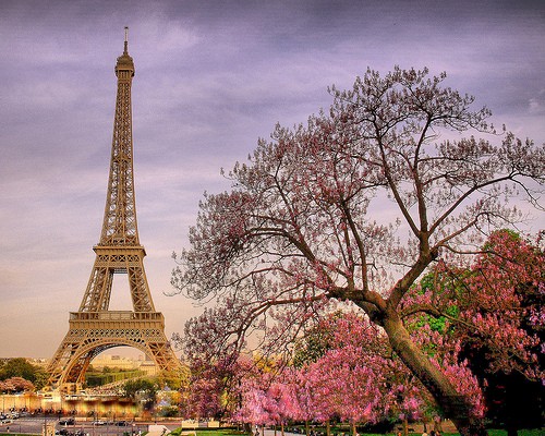  collection of eiffel tower in the spring bloom enjoy and get inspired