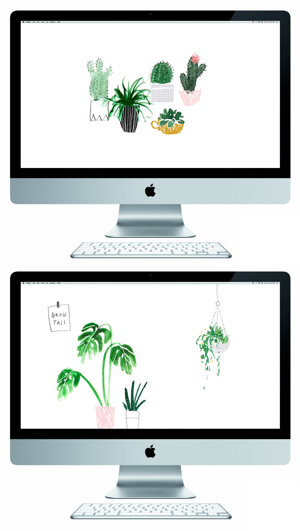 Something For Your Screen Cactus And Succulent Artwork Macbook