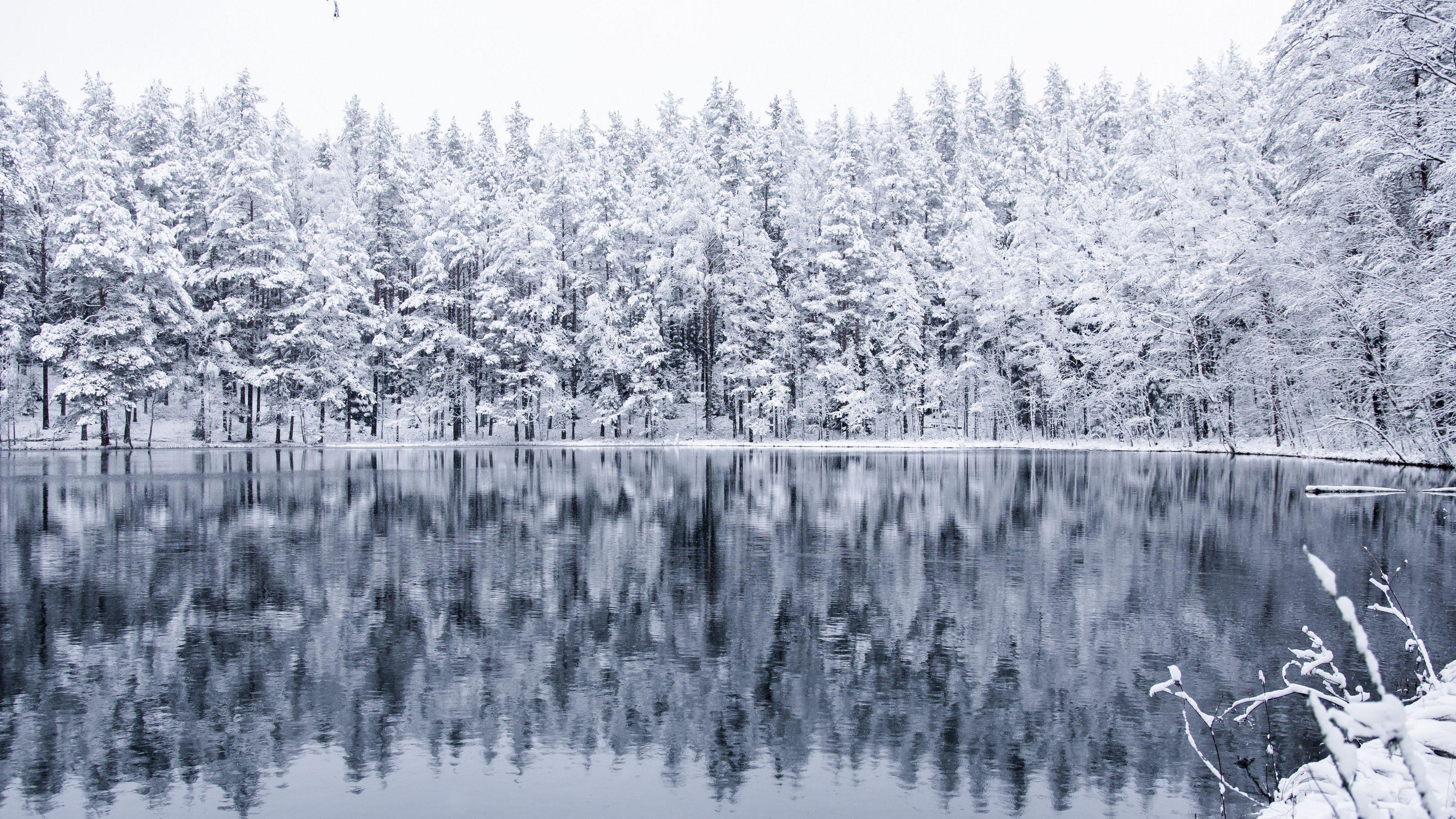 Wallpaper Winter Forest Lake Snow