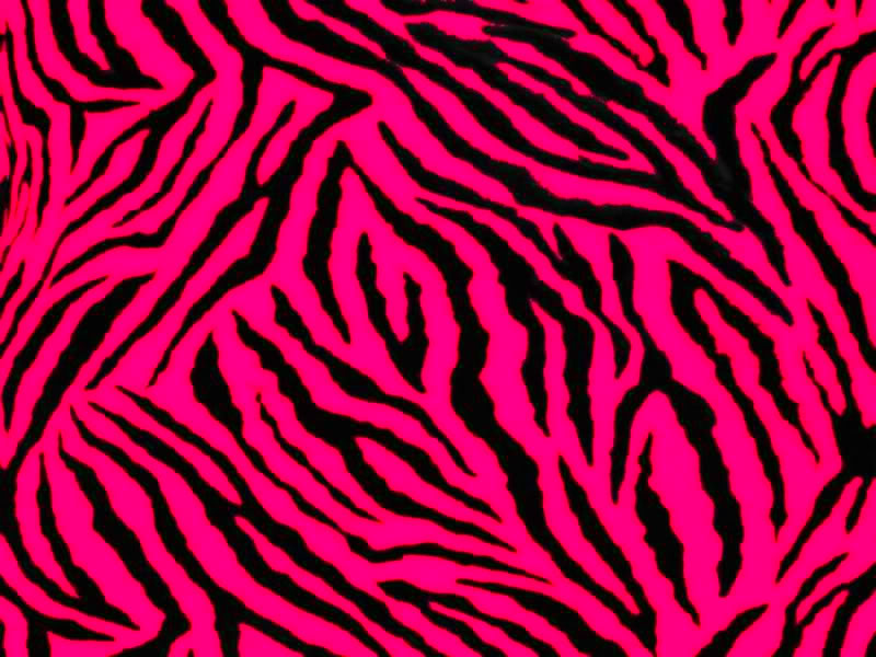 Zebra Print Graphics Pictures Image For Myspace Layouts