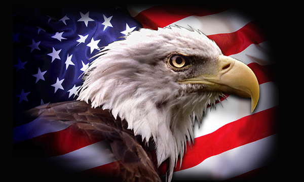  Pictures american flag eagle backgrounds background wallpaper zimbio