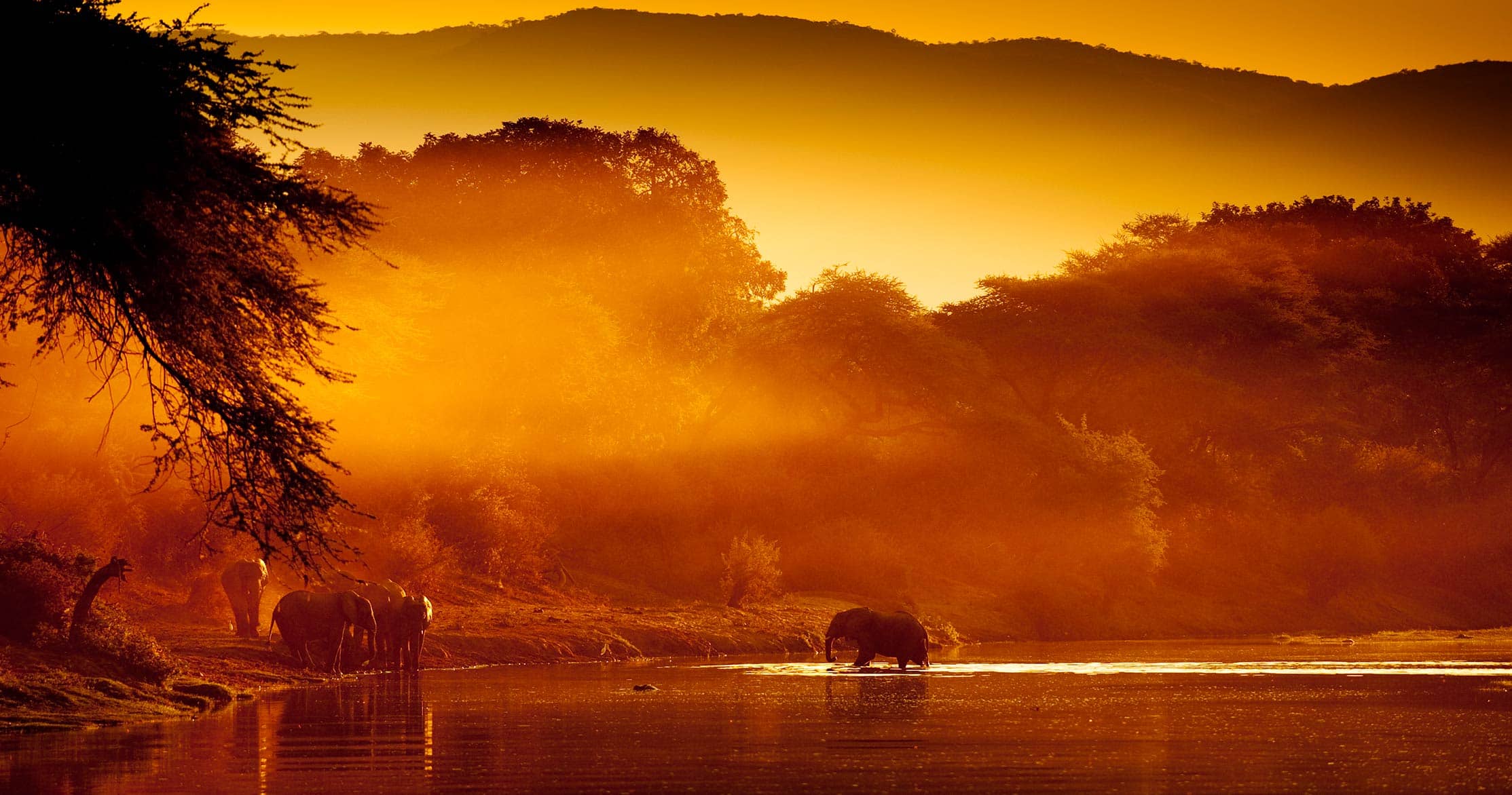Lower Zambezi National Park Voyazed