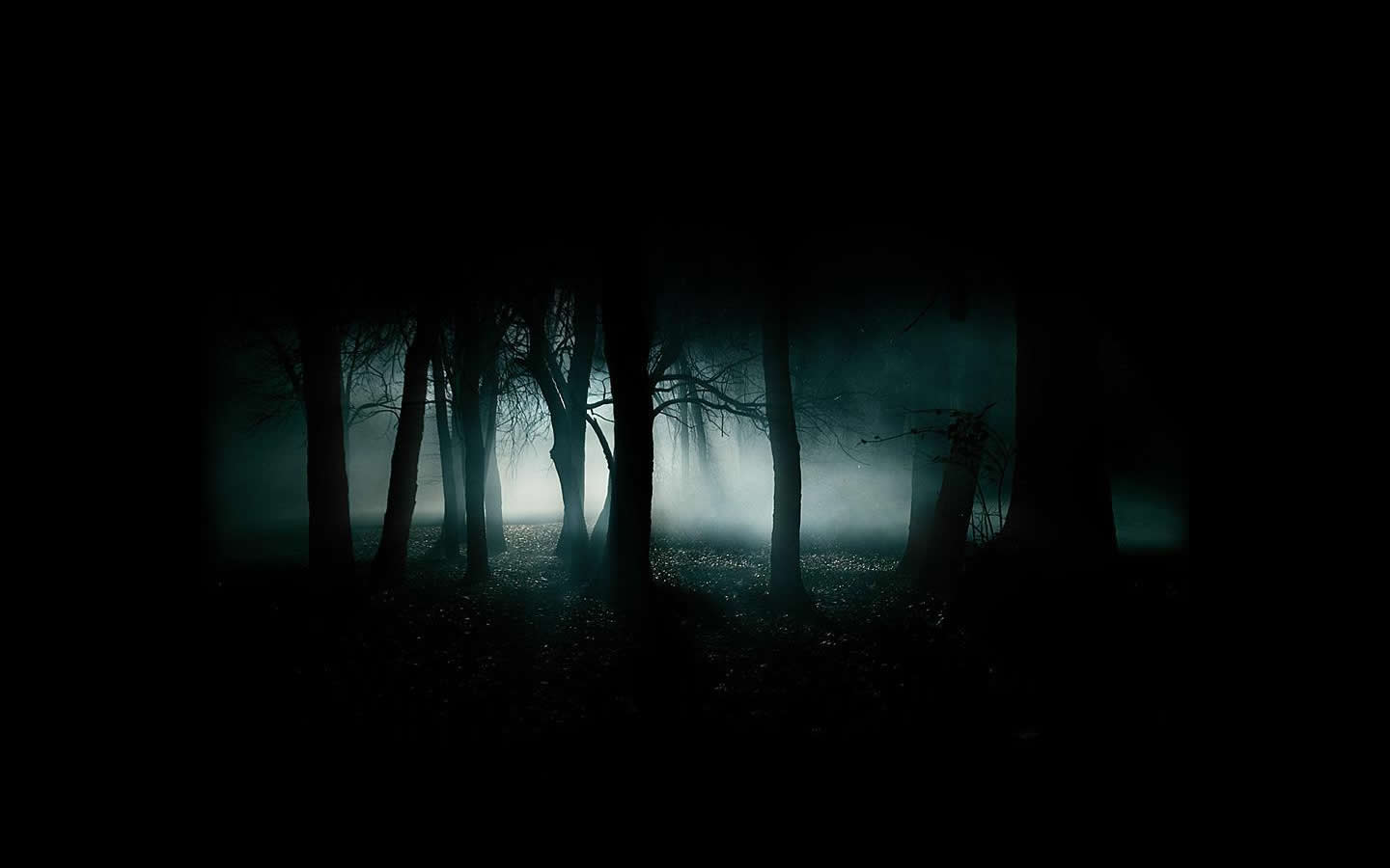 Dark Black Forest Wallpaper HD