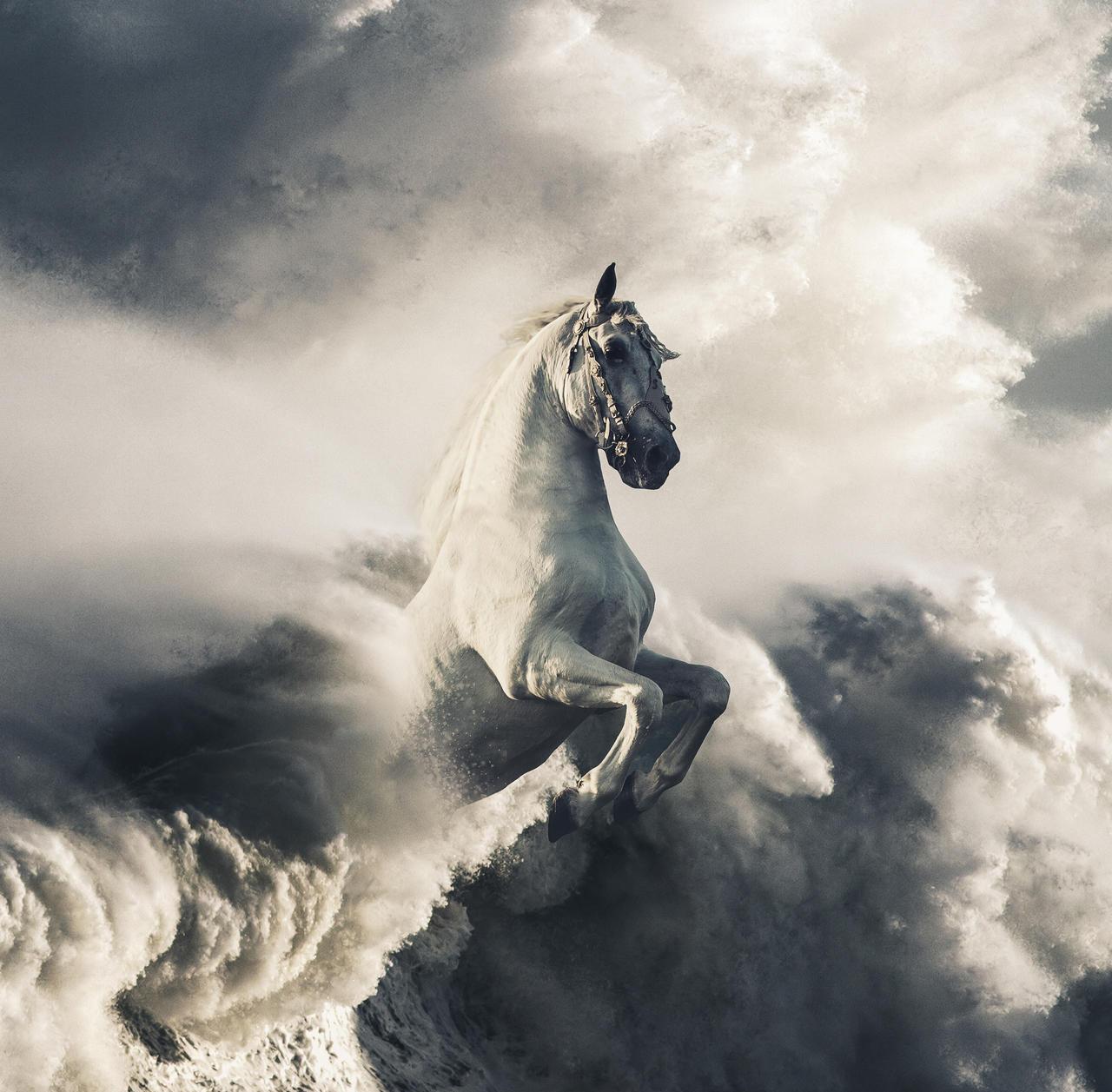 White Horse Wallpaper HD 4k by SahibDM on