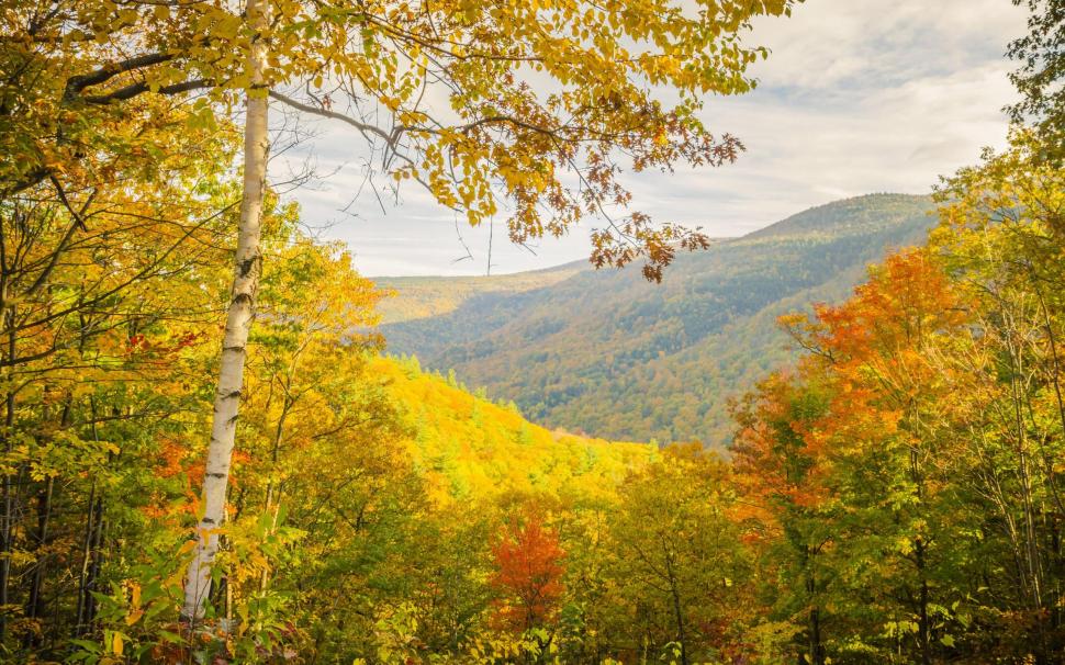 Autumn Trees Mountains Landscape Pictures For Desktop Wallpaper