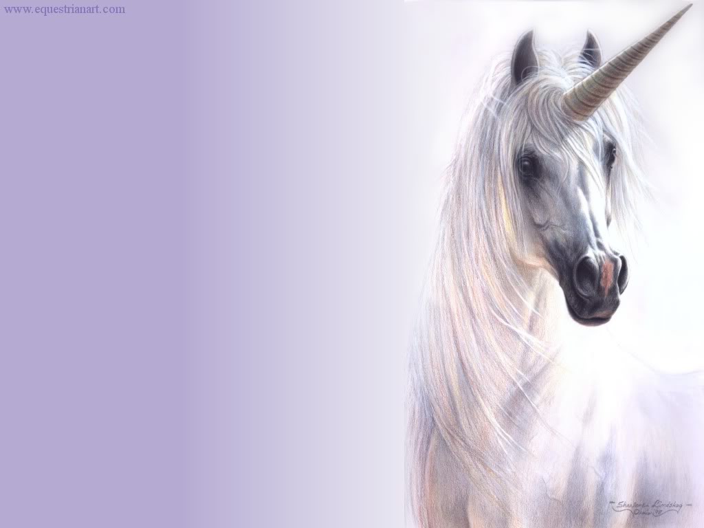 Unicorn Wallpaper Unicorn Desktop Background