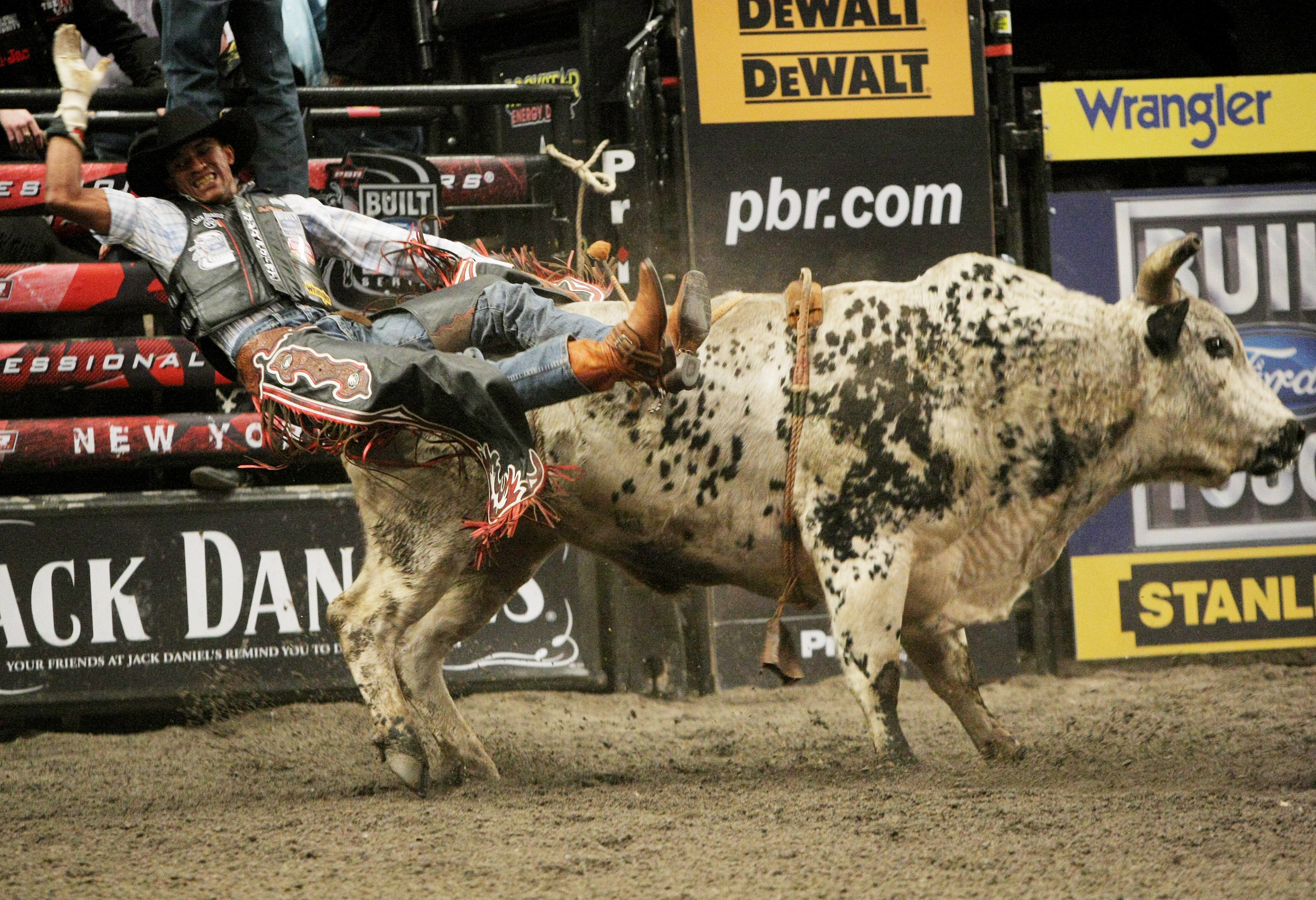 Rodeo Bull Wallpaper Riding Bullrider